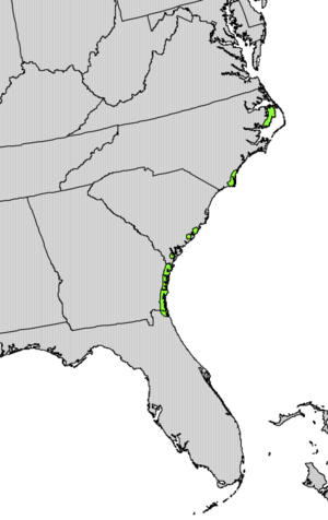 Yucca gloriosa range map.png