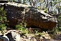 (1)Whale Rock formation