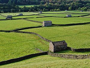 2014 Fields Swaledale Gunnerside