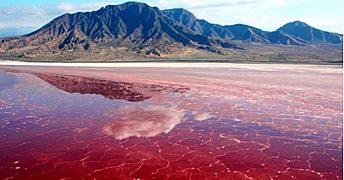 Arabian or Makoran sea .Makoran red coast in Iran