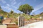 Arboretum, UCSC.jpg