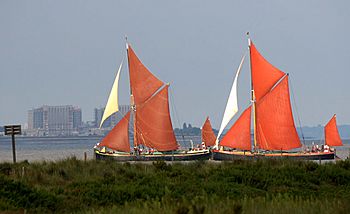 Barge Race - geograph.org.uk - 595188