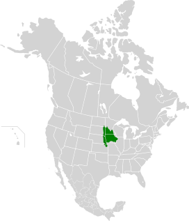 Central Tall Grasslands map.svg