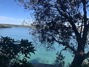 Clontarf Beach from the Spit to Manly Walk