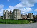 Cowdray House ruins.jpg