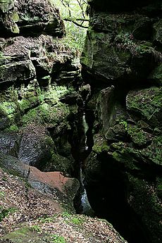 Crichope Linn - geograph-1863199