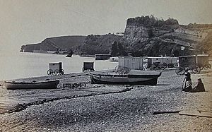 Dawlish Beach