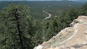 East Mogollon Rim