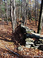 FSSP Fence Row