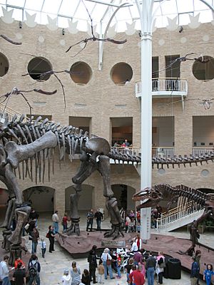 Fernbank interior