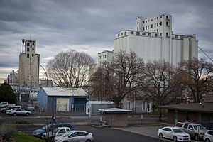 Grain Elevators (Pendleton, Oregon)