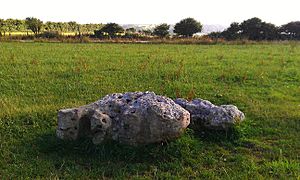 Kingston Russell stone circle II