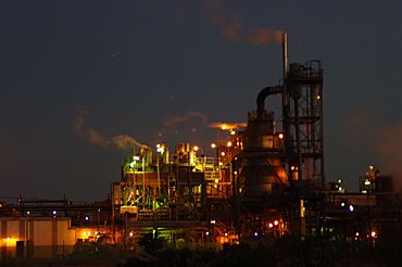 Kwinana ind night gnangarra.jpg