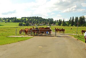 Le Bemont 020