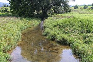 Limestone Run looking upstream