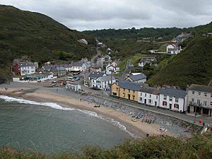 Llangrannog-from-south-cliffs.jpg