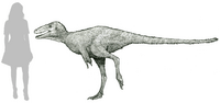 Moros intrepidus reconstruction