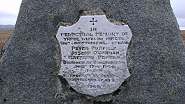 Mullaghcleevaun Plaque II