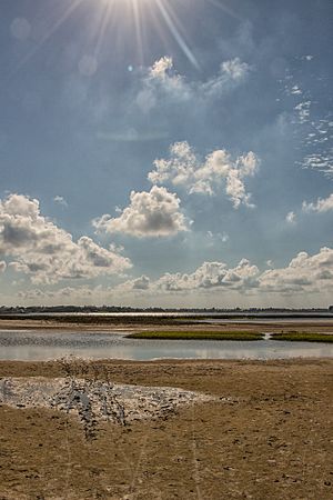 Mustang Island State Park