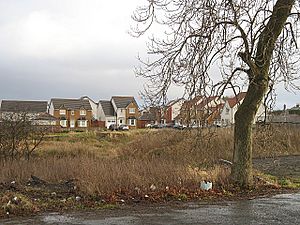 New housing, Bargeddie - geograph.org.uk - 1125069.jpg