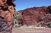 Newman, Pilbara, Western Australia