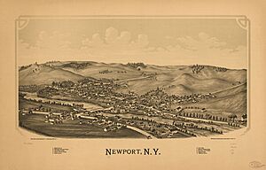 Newport, N.Y. LOC 75694803