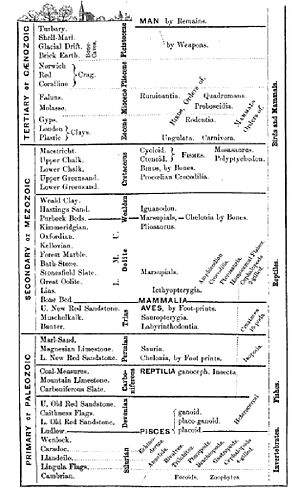 Owen geologic timescale