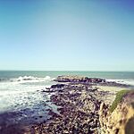 Pescadero State Beach 2012