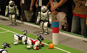 QRIO watch AIBOs at Robocup