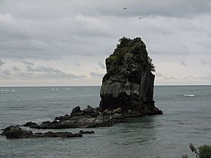 ShagRockSumner