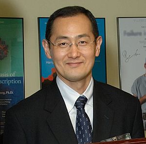 Shinya yamanaka10.jpg