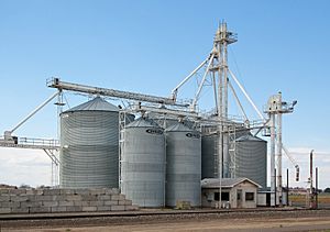 Sunnyside Silos 5571