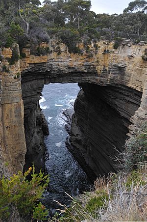 TASMAN ARCH, TASMAN PENINSULA, TASMANIA