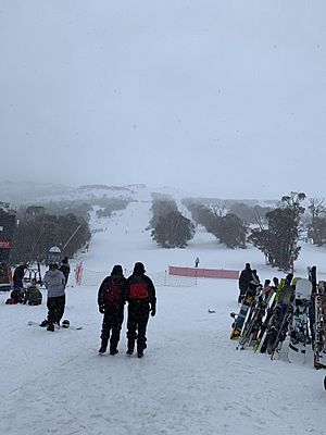 Thredbo resort