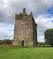 Togher_Castle_-_Western_Facade.jpg