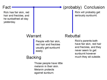 Toulmin Argumentation Example