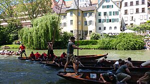 Traditional Stocherkahn Race