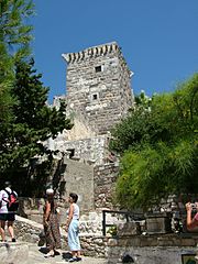 TurkeyBodrumCastleTower2