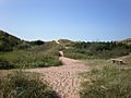 Tylosand sand dunes