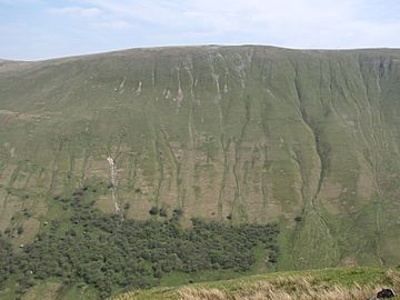 Wether Hill from The Nab.JPG