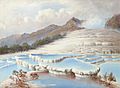 White Terraces - Blomfield