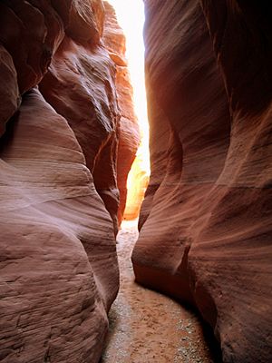 Wirepass slot canyon