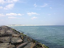 Island Beach State Park