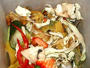 Biodegradable waste