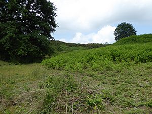 Blackborough End Pit 4.jpg