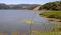 Bolinas Lagoon 2794.jpg