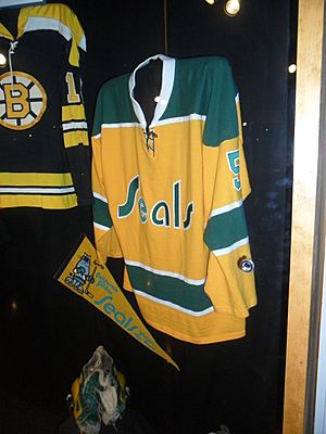 California Golden Seals jersey at IHHOF