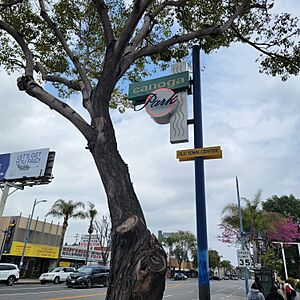 Canoga Park Old Town Center