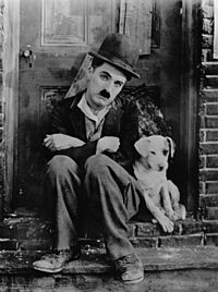 Chaplin A Dogs Life