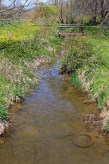 Dry Run looking upstream.jpg